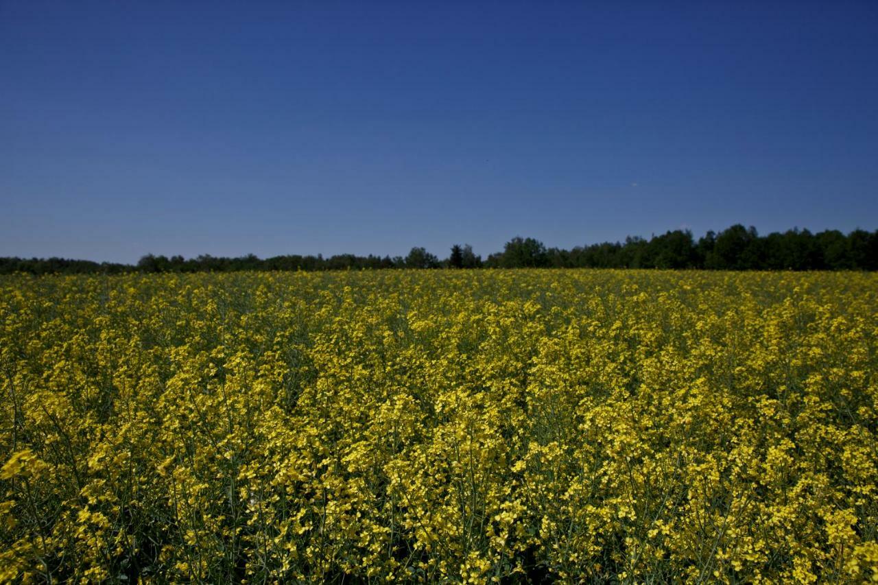 Agroturystyka Wichrowe Wzgorze Osiek  Exterior photo